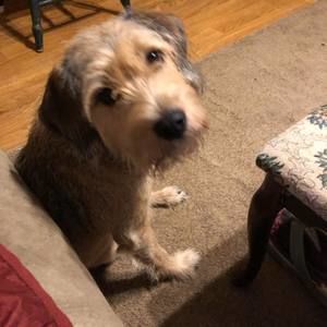 Meet your Posher, Cindy